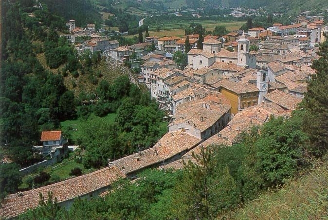 Luceolis, Cantiano