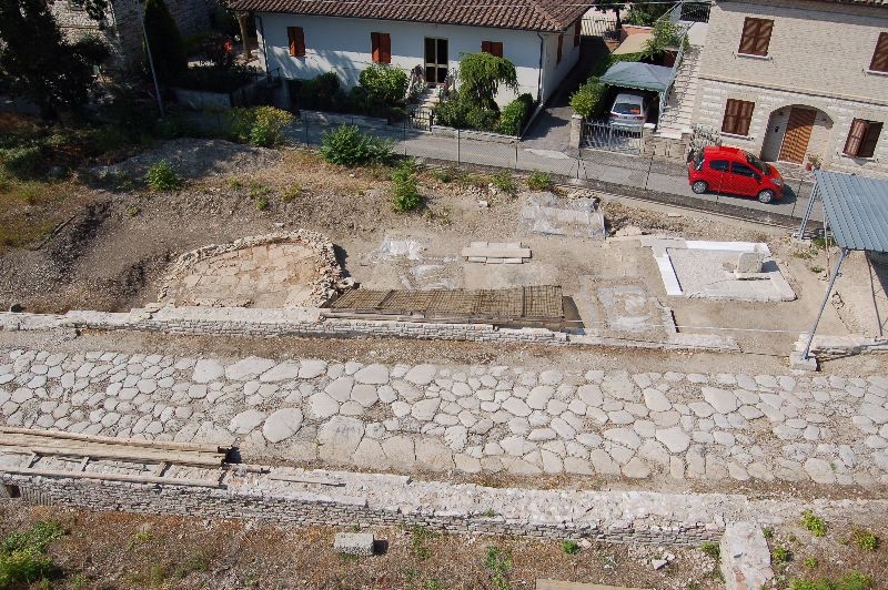 Forum Sempronii - DOMUS DEGLI ANIMALI ESOTICI